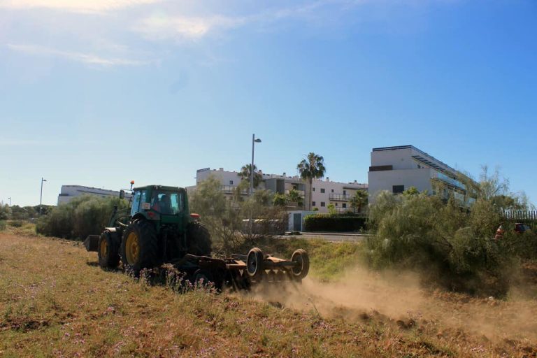 El Ayuntamiento de Cartaya realiza cortafuegos junto a urbanizaciones de los núcleos costeros