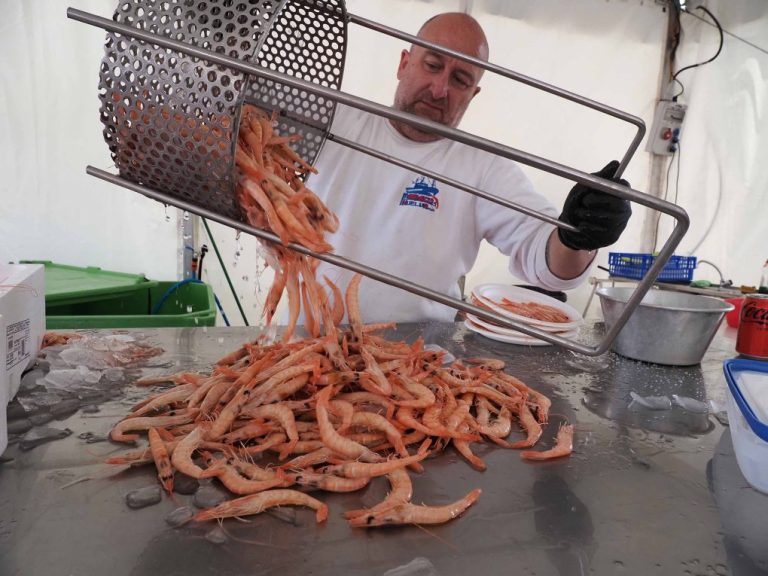 <strong>Hasta este domingo puede disfrutarse de la Feria Nacional de la Gamba, la Chirla y el Boquerón de Punta Umbría</strong>