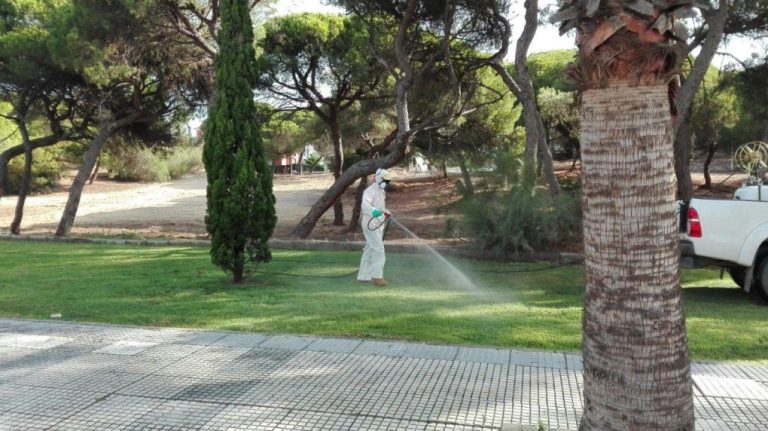 <strong>Punta Umbría inicia el lunes su campaña de control de mosquitos</strong>