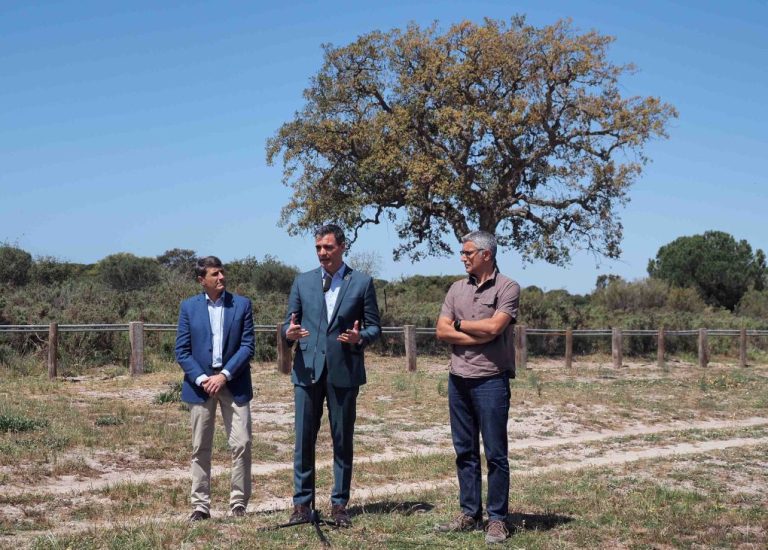 <strong>Sánchez pide a la Junta que dé marcha atrás a la regularización de regadíos ilegales en Doñana y vuelva a la «legalidad europea»</strong>