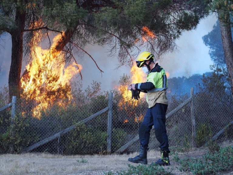 Infoca y bomberos del Consorcio estabilizan un incendio que calcina parte de la Reserva Natural La Laguna de El Portil