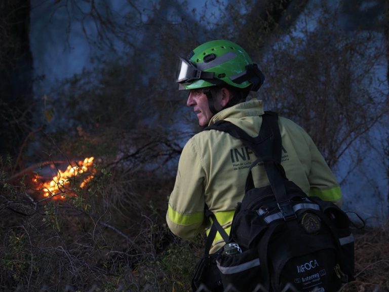 <strong>Un incendio forestal en Palos de la Frontera obliga a cortar la carretera HU-5026</strong>