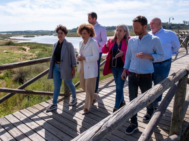 <strong>Diputación anuncia un Plan de Accesibilidad Universal de un millón de euros para las playas de Huelva</strong>