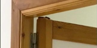 Denuncian una plaga de cucarachas en el Hospital Virgen de la Bella de Lepe