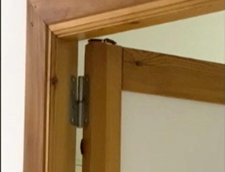 Denuncian una plaga de cucarachas en el Hospital Virgen de la Bella de Lepe