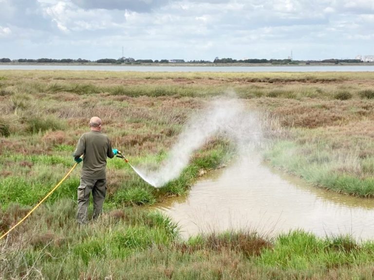 Diputación inicia su plan contra mosquitos en 3.200 hectáreas de 12 municipios onubenses