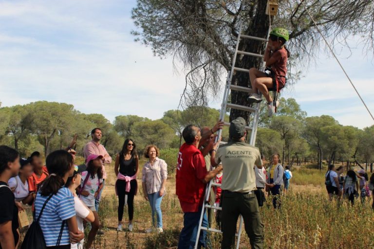 Escolares cartayeros instalan nidos para repoblar el entorno del paraje de Malatao
