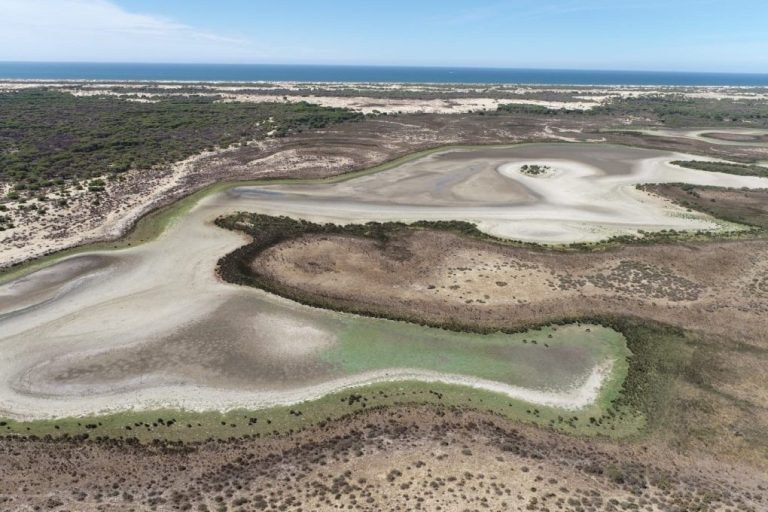 <strong>La CHG declara «no compatible» la ley de regadíos de Doñana con su planificación hidrológica y aprecia «engaño»</strong>