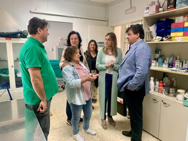 Huelva inicia un nuevo protocolo de captura, esterilización y retorno de gatos callejeros a su medio natural