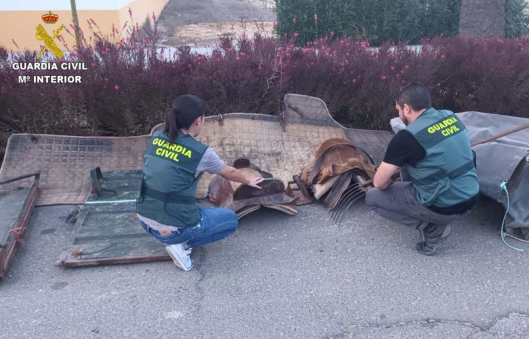 <strong>Localizan en una finca de La Palma material ecuestre robado en Chucena por valor de 9.500 euros</strong>