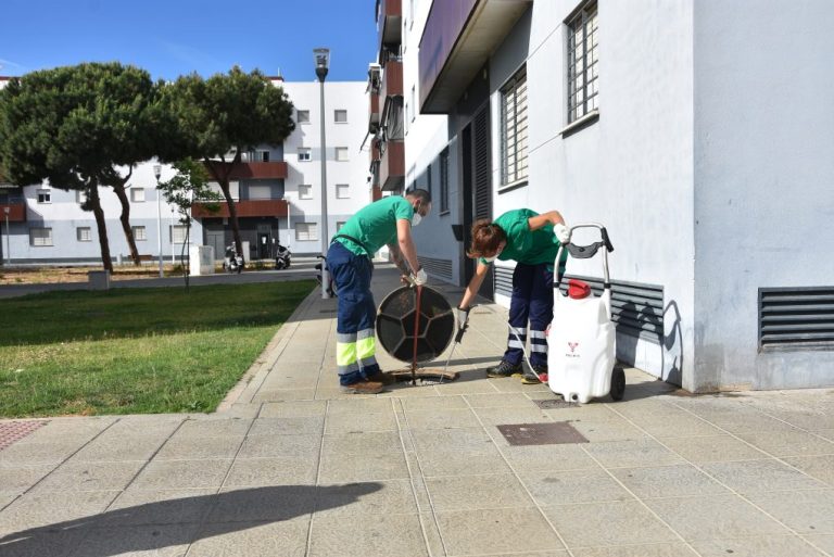 <strong>El Ayuntamiento pone en marcha un plan de choque contra cucarachas en Punta Umbría y El Portil</strong>