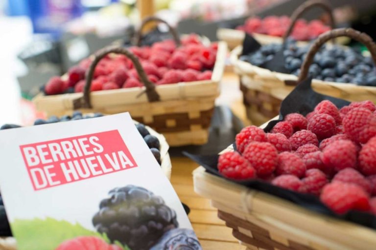 Diputación lanza la convocatoria de participación en su stand durante el 8º Congreso Internacional de Frutos Rojos