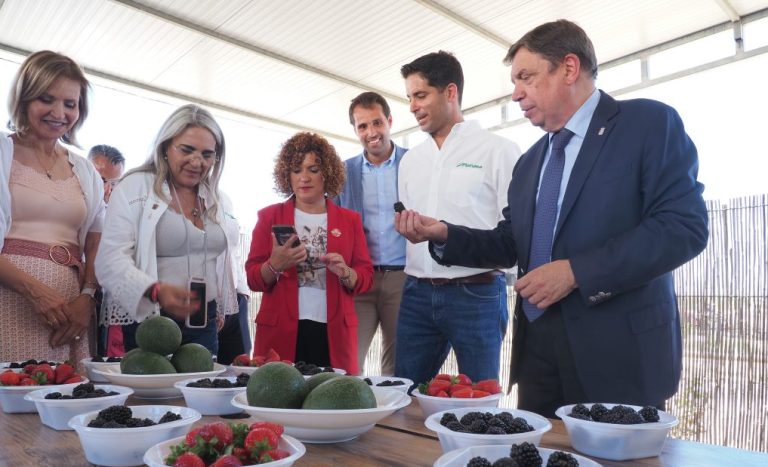 <strong>Planas manifiesta el apoyo «sin reservas» del Gobierno al sector de los frutos rojos de Huelva</strong>
