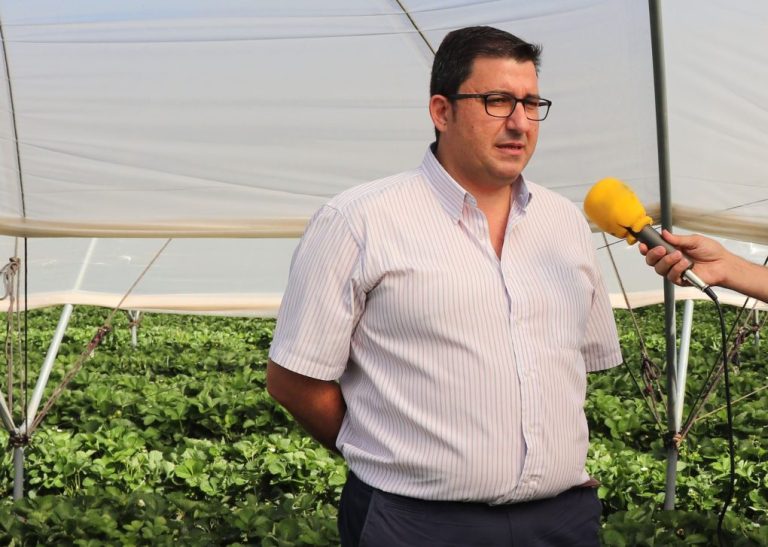 <strong>Los agricultores de Almonte denuncian el «atropello parlamentario» de la PDL de Regadíos de Doñana de PP y Vox</strong>