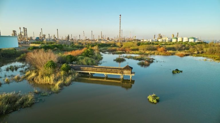 <strong>Voluntariado y concienciación ambiental, claves en la celebración del Día del Medio Ambiente de Fundación Cepsa</strong>