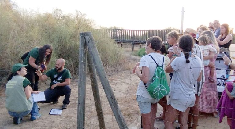La Fundación ‘Centros de Estudios Marinos’, en colaboración con la Mancomunidad, concluye su tradicional censo del camaleón común en el sistema dunar de la playa de Islantilla