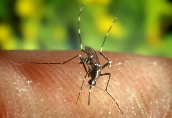 Alerta por la presencia del Virus del Nilo Occidental en cuatro municipios de Andalucía: La importancia de seguir las medidas preventivas