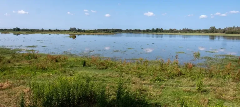 La CHG defiende sus esfuerzos en Doñana tras el informe de la UNESCO: «El fin de la sequía será tal»