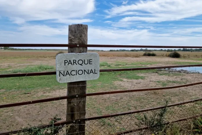 Doñana, Patrimonio de la Humanidad en Peligro: La pérdida de biodiversidad y la sobreexplotación del acuífero amenazan a uno de los espacios naturales más importantes de España