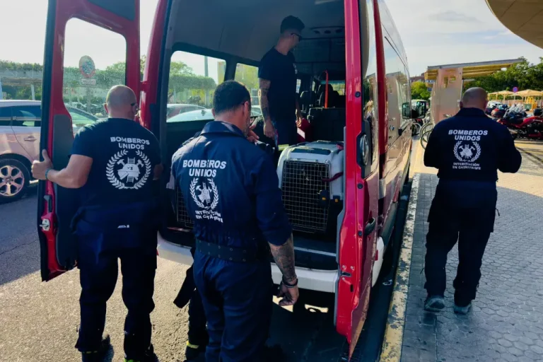 Los bomberos españoles regresan a casa tras su desplazamiento a Marruecos: el balance de víctimas del terremoto asciende a 2.901 muertos y 5.530 heridos.