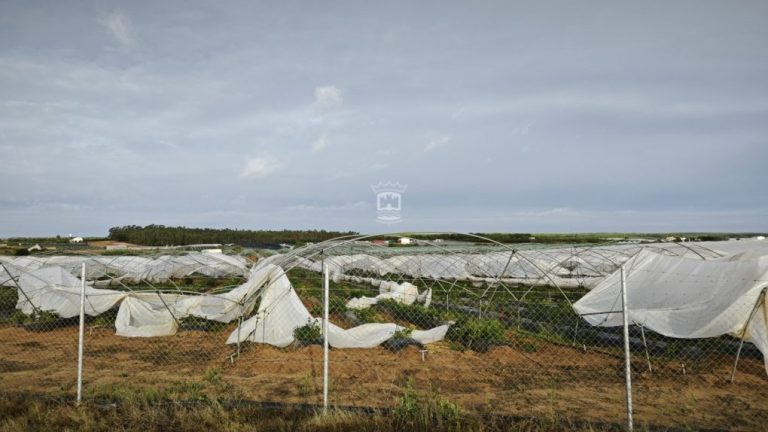 El Ayuntamiento de Cartaya y los agricultores, reclaman ayudas urgentes para el sector, que declara “la ruina total” de un gran número de explotaciones agrícolas