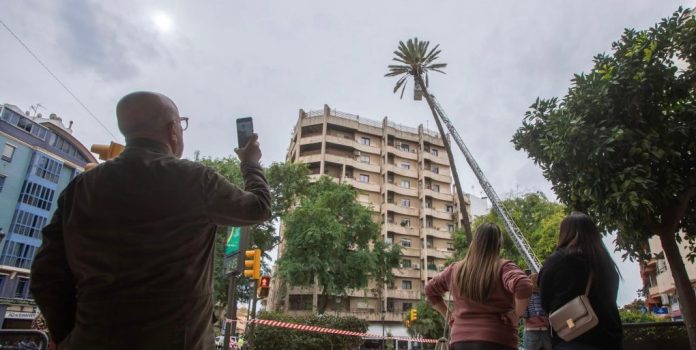 concurso fotográfico Nos vemos en la Palmera