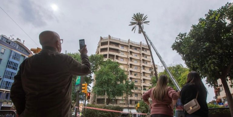 El proyecto ‘En Compañía’ del escultor Martín Lagares gana el Concurso de Ideas del Monumento a La Palmera en Huelva