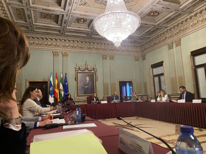 Pleno Ayuntamiento de Huelva