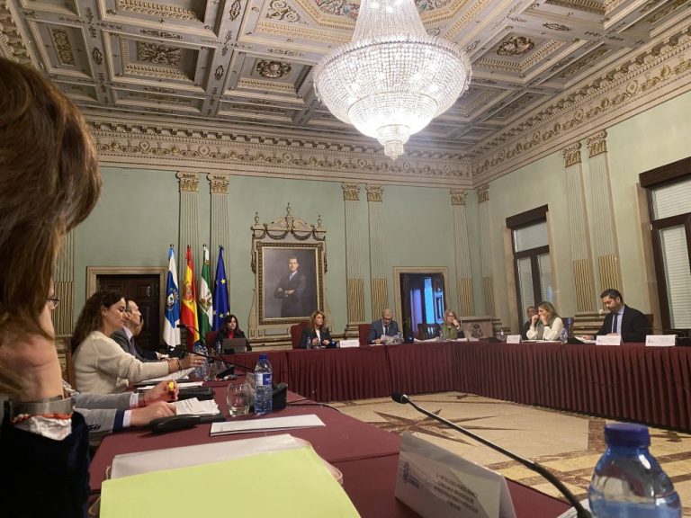 El Pleno pide que la inclusión de Huelva como nodo urbano en la Red Transeuropea de Transportes acelere la llegada del AVE