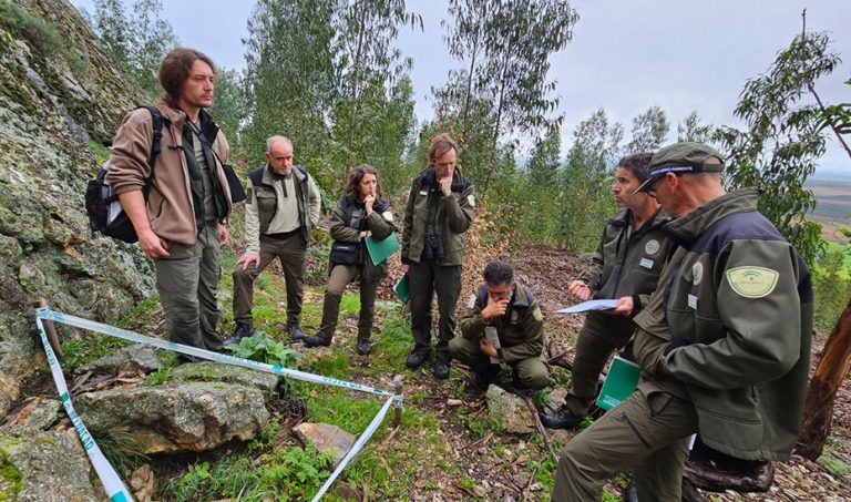 Identificados más de trescientos ejemplares de ‘geranio de roca’ en la provincia de Huelva