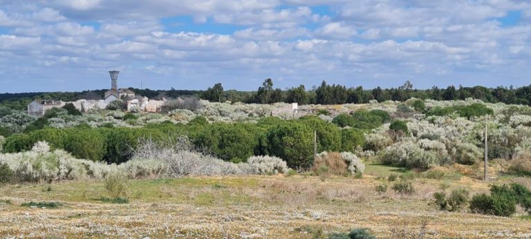 Urbanización Rompido Este: Una nueva agresión a los valores naturales de la zona