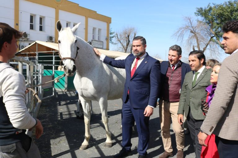 Cartaya vive intensamente la XXIII Feria del Caballo y sus Complementos