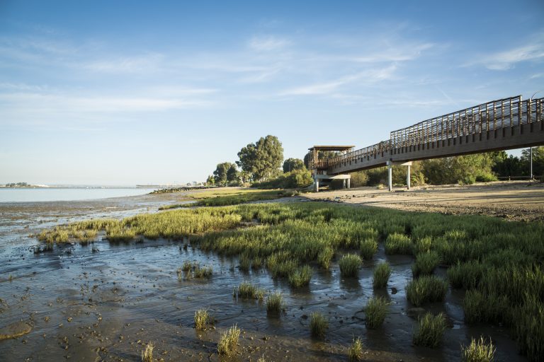 El Puerto de Huelva celebra los días 27 y 28 de mayo las III Jornadas de Sostenibilidad Ambiental y Gestión Portuaria