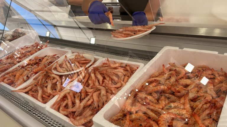El Rompido celebra este fin de semana su II Feria Gastronómica