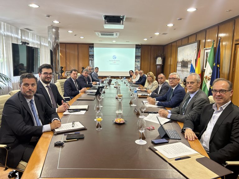 El Puerto de Huelva finaliza su doble rampa Ro-ro en el Muelle Sur