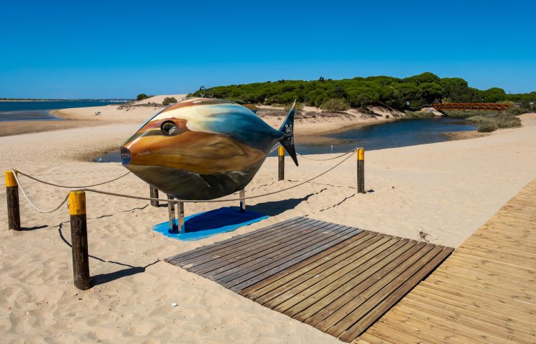 La Diputación de Huelva inicia una campaña ambiental para el reciclaje en las playas de Cartaya con el primer ‘Pescaíto come plástico’
