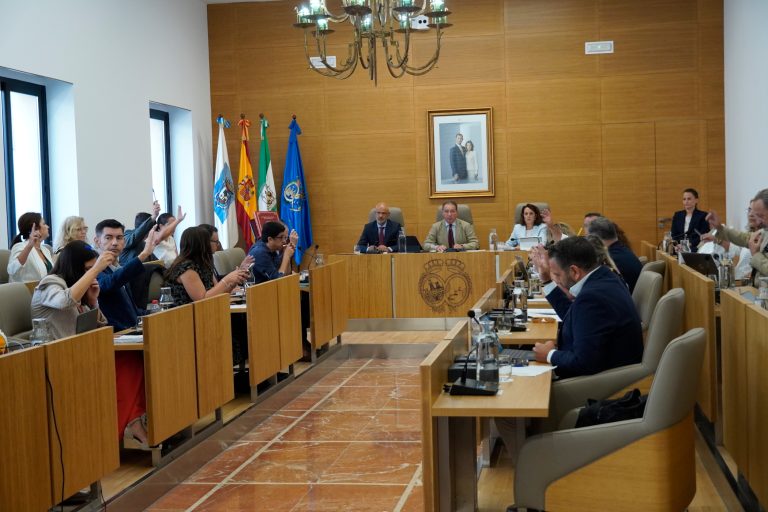 Aprobado el expediente de licitación del Servicio de Ayuda a Domicilio