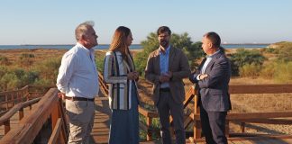 Arrancan las obras de la nueva pasarela por la playa de Mazagón
