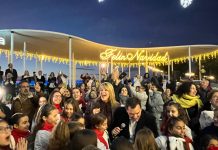 El Puerto de Huelva ilumina cinco kilómetros de la ciudad con más de 450.000 luces tipo led