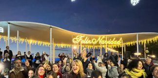 El Puerto de Huelva ilumina cinco kilómetros de la ciudad con más de 450.000 luces tipo led