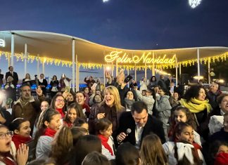 El Puerto de Huelva ilumina cinco kilómetros de la ciudad con más de 450.000 luces tipo led