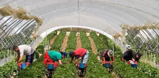 Huelva cierra noviembre con más de 3.500 parados menos que hace un año