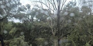 La Diputación actúa en una veintena de carreteras de la provincia por las incidencias del temporal