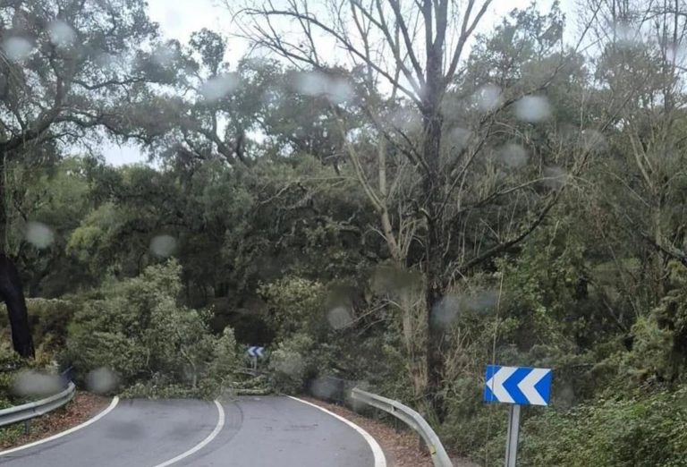 La Diputación actúa en una veintena de carreteras de la provincia por las incidencias del temporal