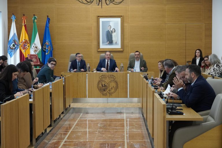El pleno aprueba las líneas de ‘Tu Diputación Actúa’ para paliar los daños de los temporales