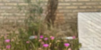 Elsa Gallardo Centeno, una mazagonera en la Ruta Quetzal