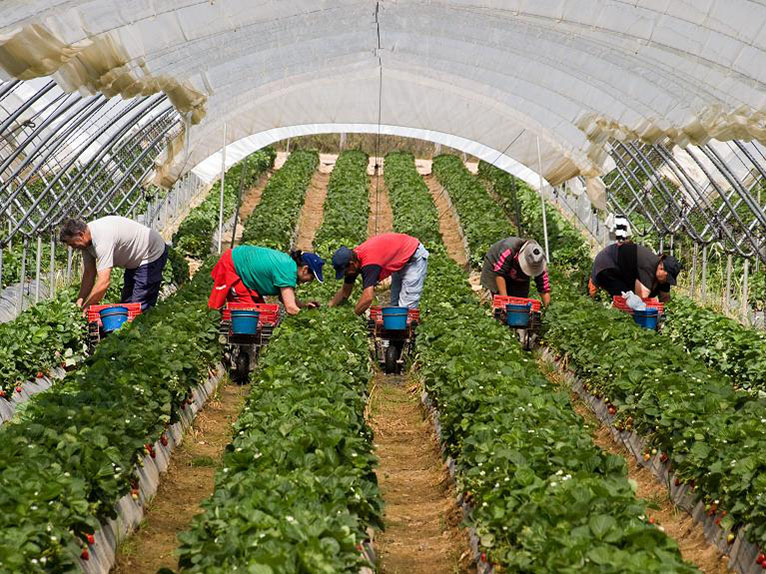Huelva lidera la bajada del paro en Andalucía