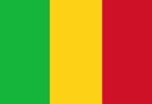 Situacion securitaria en Mali