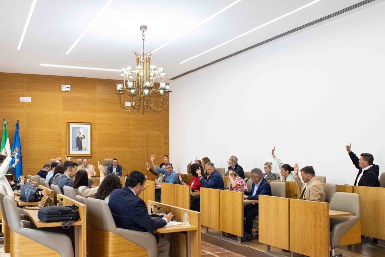 Aprobadas las bases de ‘Tu Diputación Actúa’ para paliar los daños de los temporales