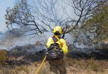 La lucha contra el fuego en Doñana moviliza ya a 130 efectivos y diez aeronaves Incendio en Doñana
